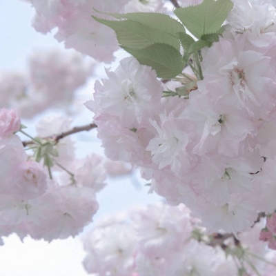 兽设洞穴场景设计福瑞交流群